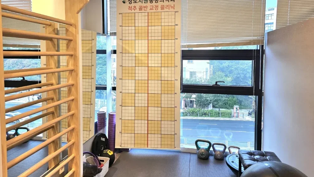 창가에 척추 골반 교정 클리닉 도구가 있는 운동치료실